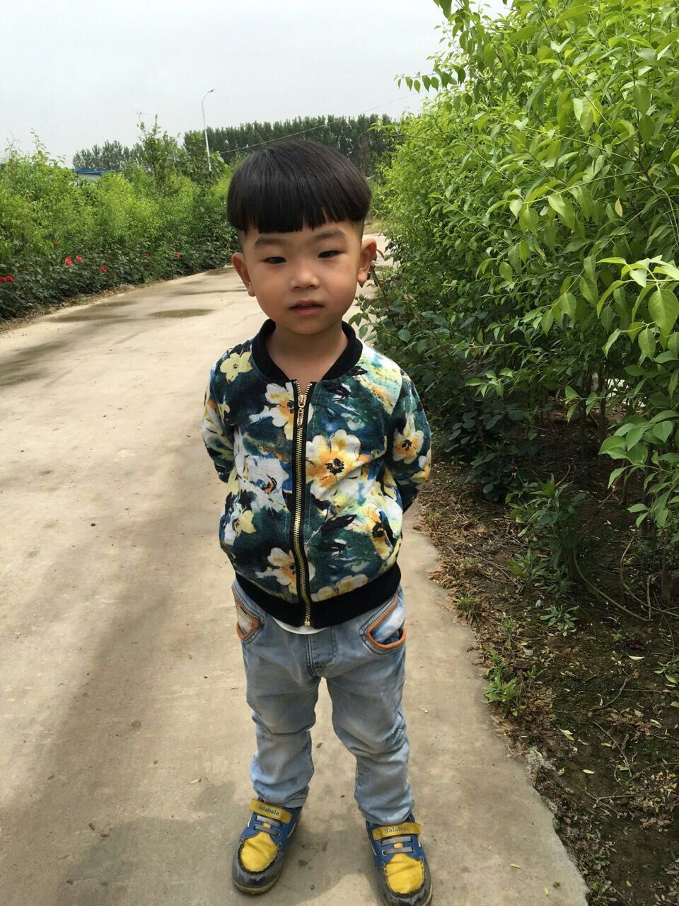QQ图片20180123114109.jpg