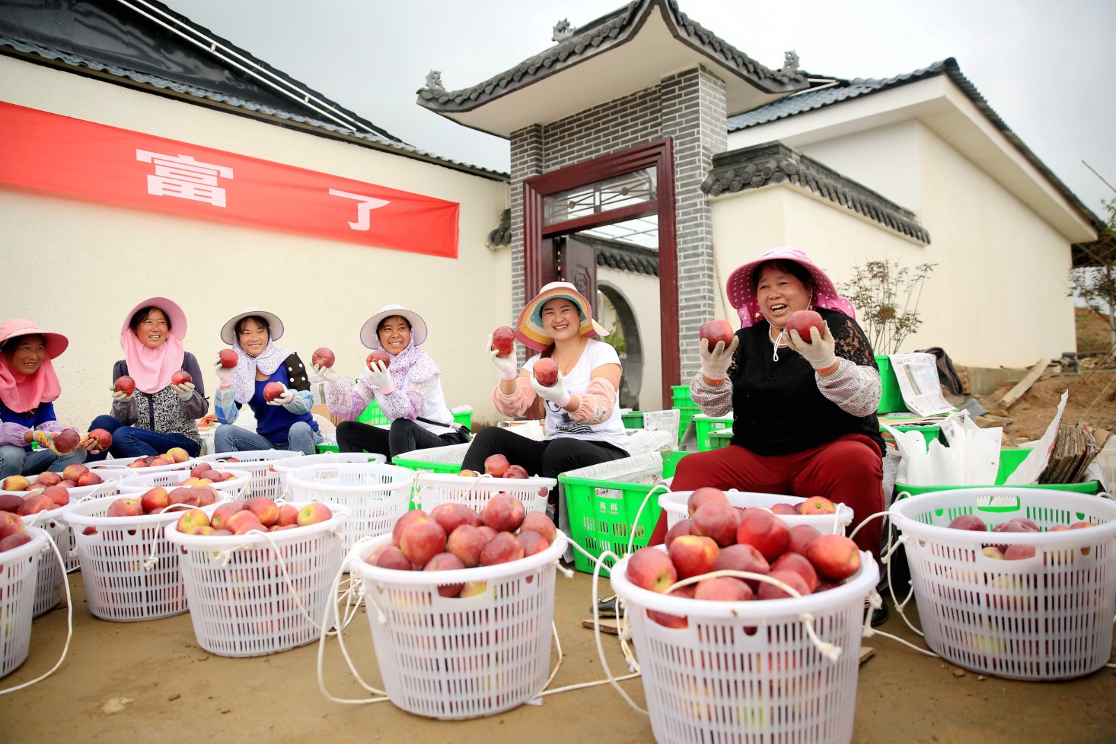 苹果1.jpg